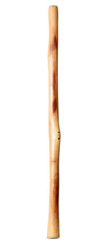 Natural Finish Didgeridoo (TW1672)